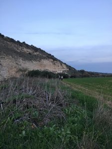 Valley of Elah